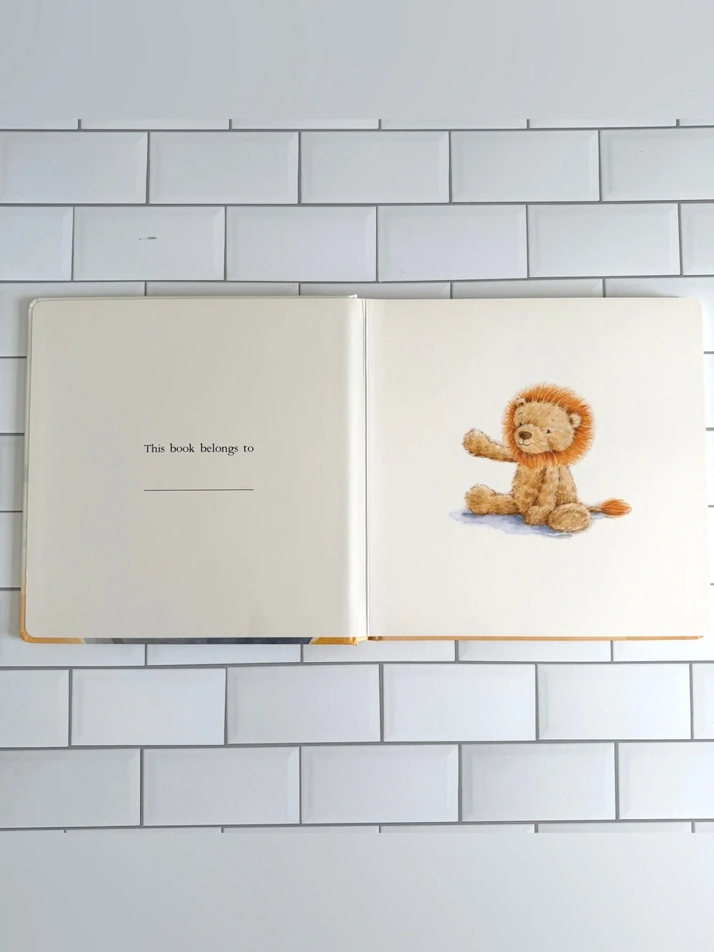 Jellycat 🦁 fuddlewuddle